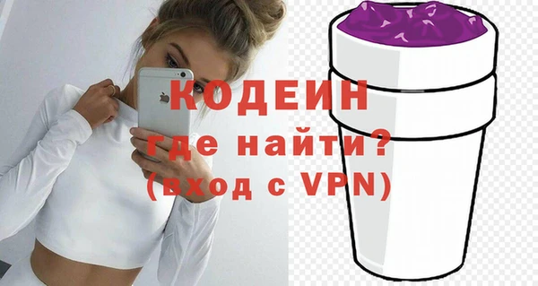 дживик Тында