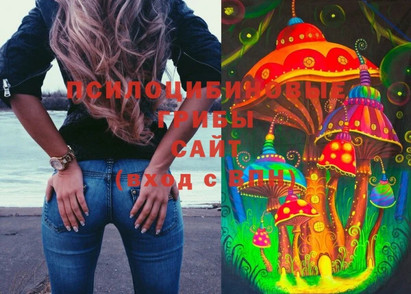 дживик Тында