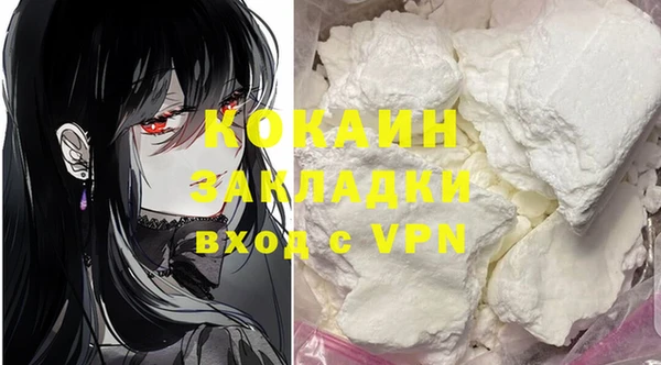 дживик Тында