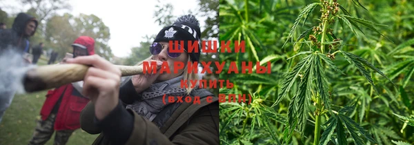 дживик Тында