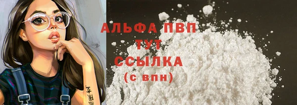 дживик Тында