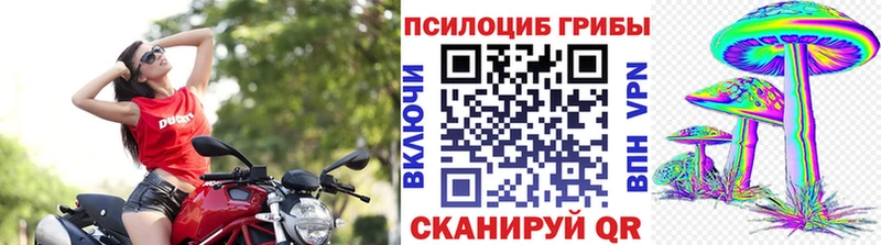 Галлюциногенные грибы мухоморы Купить закладки Ярославль